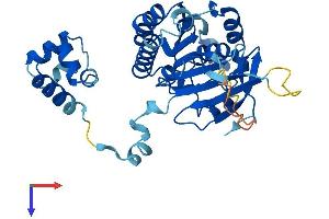 AlphaFold protein structure predicition of Human Recombinant XRCC3 Protein, UniprotID O43542