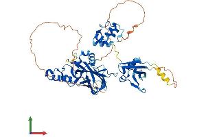 AlphaFold protein structure predicition of Human Recombinant TFCP2 Protein, UniprotID Q12800