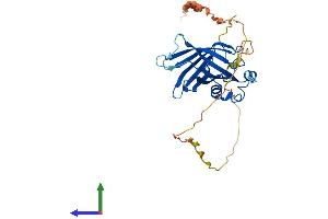 AlphaFold protein structure predicition of Human Recombinant GID4 Protein, UniprotID Q8IVV7