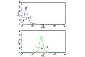 ABCG1 antibody flow cytometry analysis of HepG2 cells (bottom histogram) compared to a negative control (top histogram).