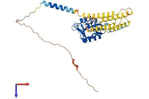 AlphaFold protein structure predicition of Mouse Recombinant Cd209b Protein, UniprotID Q8CJ91