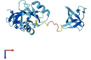 AlphaFold protein structure predicition of Human Recombinant GRAP Protein, UniprotID Q13588