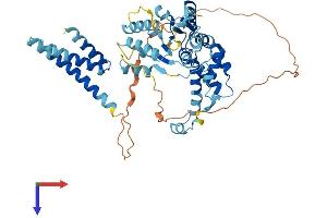 AlphaFold protein structure predicition of Human Recombinant KATNA1 Protein, UniprotID O75449