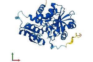 AlphaFold protein structure predicition of Mouse Recombinant Srr Protein, UniprotID Q9QZX7