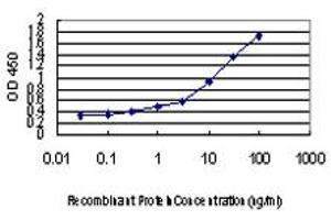 Detection limit for recombinant GST tagged AGR2 is approximately 0. (AGR2 anticorps  (AA 1-175))
