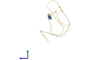 AlphaFold protein structure predicition of Mouse Recombinant Gypa Protein, UniprotID P14220