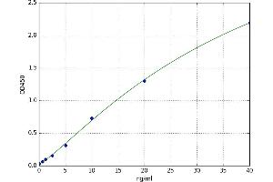 BCL2-Antagonist/killer 1 (BAK1) ELISA Kit