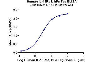 Immobilized Human IL-13 at 1 μg/mL (100 μL/Well).