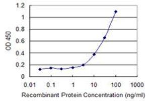 Detection limit for recombinant GST tagged SGCA is 1 ng/ml as a capture antibody. (SGCA anticorps  (AA 26-133))