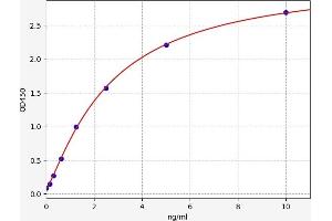 Typical standard curve (CENPB Kit ELISA)