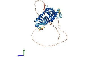 AlphaFold protein structure predicition of Human Recombinant PPARG Protein, UniprotID P37231
