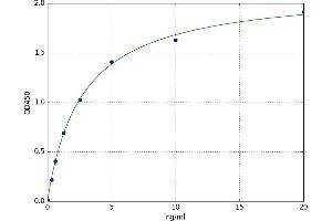 Ribonuclease T2 (RNASET2) ELISA Kit