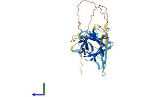 AlphaFold protein structure predicition of Mouse Recombinant Il33 Protein, UniprotID Q8BVZ5