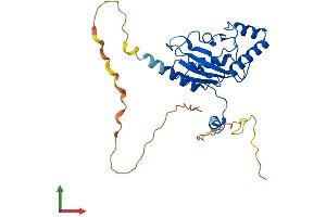 AlphaFold protein structure predicition of Human Recombinant AKTIP Protein, UniprotID Q9H8T0