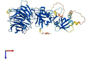 AlphaFold protein structure predicition of Human Recombinant WDR48 Protein, UniprotID Q8TAF3