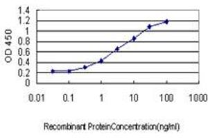 Detection limit for recombinant GST tagged NODAL is approximately 0. (Nodal anticorps  (AA 275-346))