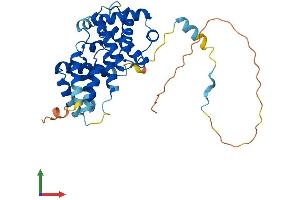 AlphaFold protein structure predicition of Human Recombinant CCNG2 Protein, UniprotID Q16589