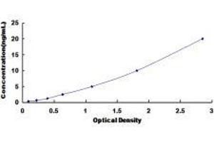 ELISA image for Solute Carrier Family 39 (Zinc Transporter), Member 6 (SLC39A6) ELISA Kit (ABIN420112)