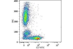 Surface staining of human peripheral blood cells with anti-human CD7 (MEM-186) FITC. (CD7 anticorps)