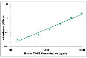 Representative Standard Curve (TIMP3 Kit ELISA)