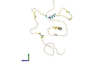 AlphaFold protein structure predicition of Human Recombinant PMEPA1 Protein, UniprotID Q969W9