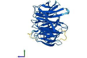 AlphaFold protein structure predicition of Human Recombinant WDR54 Protein, UniprotID Q9H977