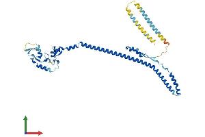 AlphaFold protein structure predicition of Mouse Recombinant Trim59 Protein, UniprotID Q922Y2