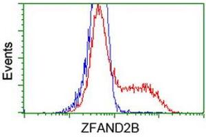Flow Cytometry (FACS) image for anti-Zinc Finger, AN1-Type Domain 2B (ZFAND2B) antibody (ABIN1501802)