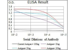 ELISA image for anti-Aldehyde Dehydrogenase 2 Family (Mitochondrial) (ALDH2) (AA 317-517) antibody (ABIN1846467)