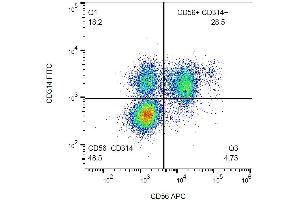 Surface staining of human peripheral blood with anti-human CD314 (1D11) FITC.