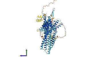 AlphaFold protein structure predicition of Human Recombinant SLC30A5 Protein, UniprotID Q8TAD4