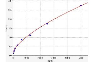 Hexokinase 1 (HK1) ELISA Kit