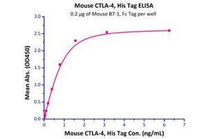 Immobilized Mouse B7-1, Fc Tag (Cat# CD0-M5259) at 2 μg/mL (100 µl/well),can bind Mouse CTLA-4, His Tag (Cat# CT4-M52H5) with a linear range of 0. (CD80 Protein (CD80) (AA 38-245) (Fc Tag))