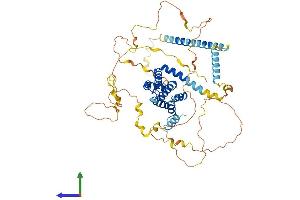 AlphaFold protein structure predicition of Mouse Recombinant Epn1 Protein, UniprotID Q80VP1