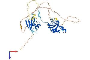 AlphaFold protein structure predicition of Mouse Recombinant Pard6b Protein, UniprotID Q9JK83