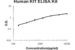 Human KIT/SCFR PicoKine ELISA Kit standard curve (KIT Kit ELISA)