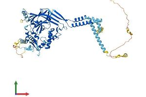 AlphaFold protein structure predicition of Human Recombinant SCNN1B Protein, UniprotID P51168