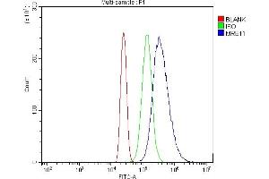 Flow Cytometry analysis of HL-60 cells using anti-MRE11 antibody (ABIN7600025). (Mre11 anticorps  (AA 14-481))