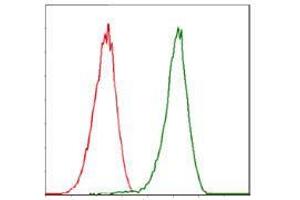 Flow cytometric analysis of Jurkat cells using CDK2 mouse mAb (green) and negative control (red).