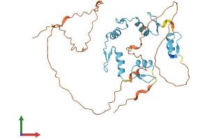 AlphaFold protein structure predicition of Mouse Recombinant Scrt2 Protein, UniprotID Q8BTH6