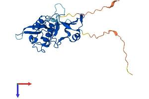 AlphaFold protein structure predicition of Mouse Recombinant Trpt1 Protein, UniprotID Q8K3A2