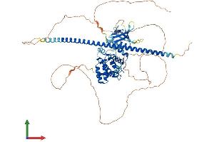 AlphaFold protein structure predicition of Mouse Recombinant Arhgap22 Protein, UniprotID Q8BL80