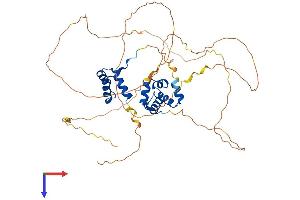 AlphaFold protein structure predicition of Human Recombinant ONECUT1 Protein, UniprotID Q9UBC0