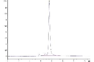 The purity of Human CXCL4 is greater than 95 % as determined by SEC-HPLC. (PF4 Protein (AA 32-101) (Fc Tag))