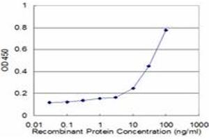 Detection limit for recombinant GST tagged FOXO1A is approximately 3ng/ml as a capture antibody. (FOXO1 anticorps  (AA 556-655))