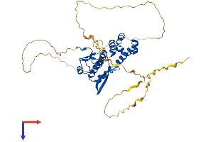 AlphaFold protein structure predicition of Human Recombinant SCML4 Protein, UniprotID Q8N228