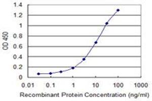 Detection limit for recombinant GST tagged MYCBP is 0. (MYCBP anticorps  (AA 34-103))