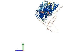 AlphaFold protein structure predicition of Human Recombinant RHOBTB2 Protein, UniprotID Q9BYZ6