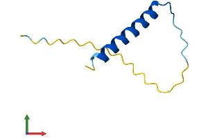 AlphaFold protein structure predicition of Mouse Recombinant Pcp4 Protein, UniprotID P63054