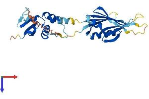 AlphaFold protein structure predicition of Mouse Recombinant Kcnrg Protein, UniprotID Q2TUM3
